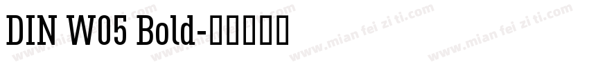 DIN W05 Bold字体转换